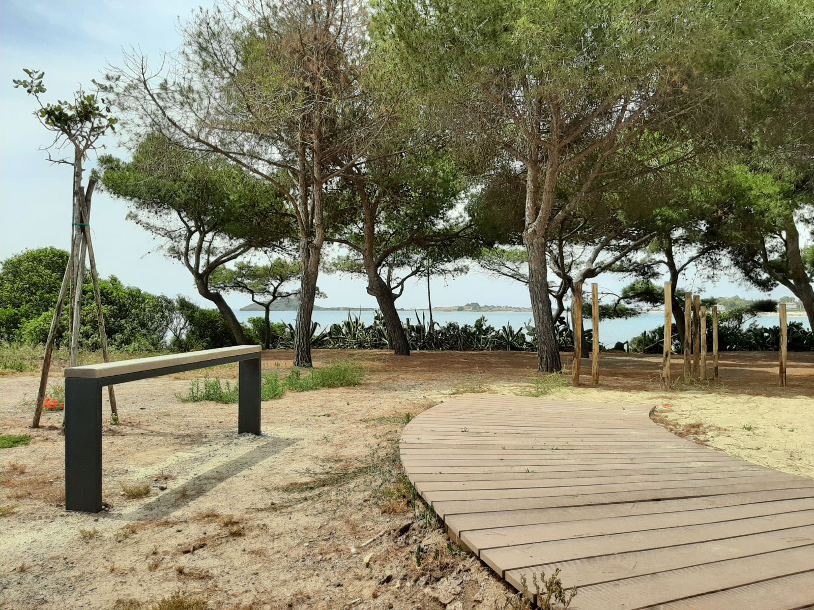 Banco Link - Image 7