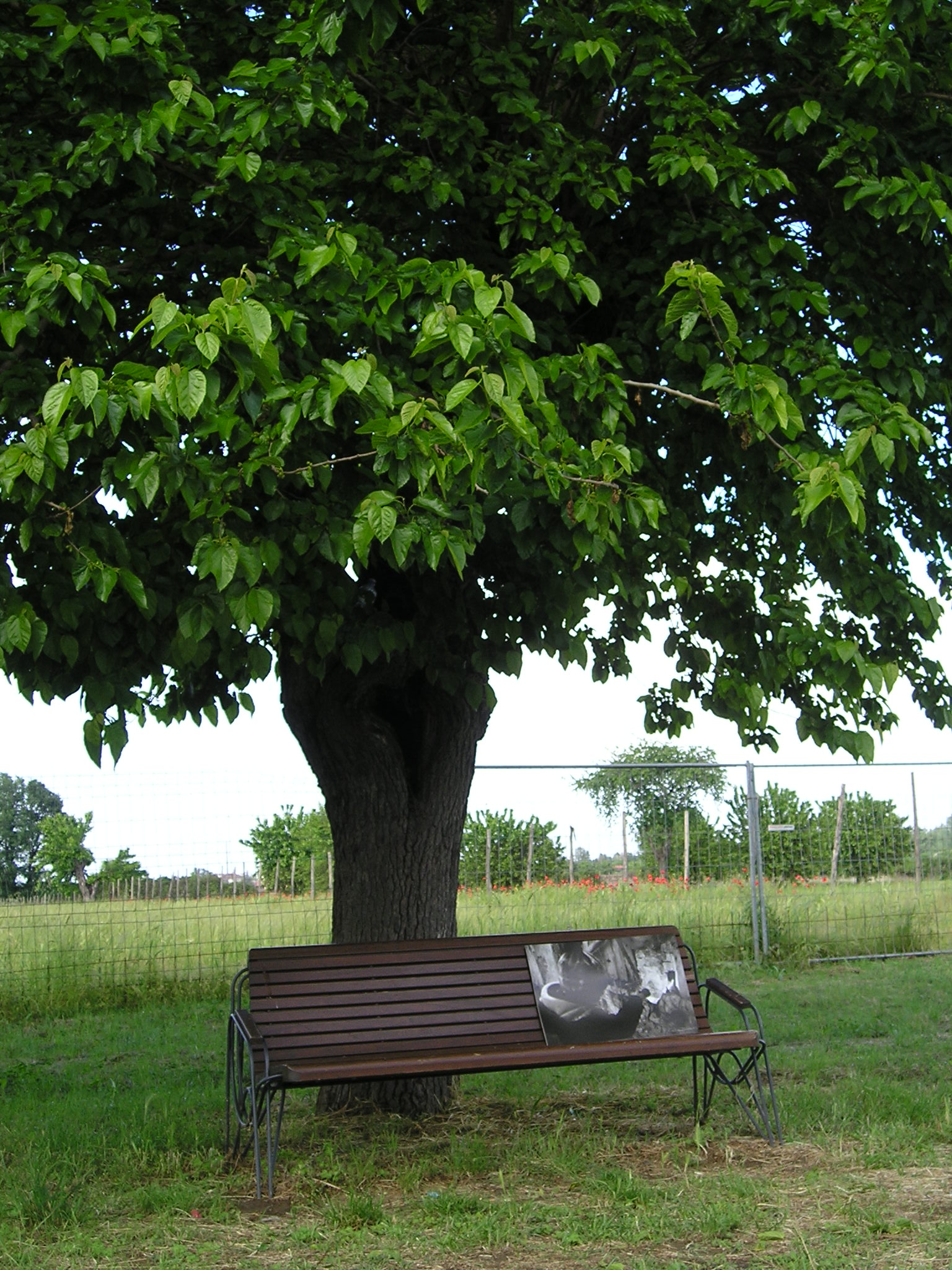 Banco Ambiente 55 - Image 2