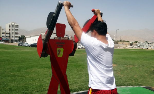 Shoulder Press Training Buddies - Image 2