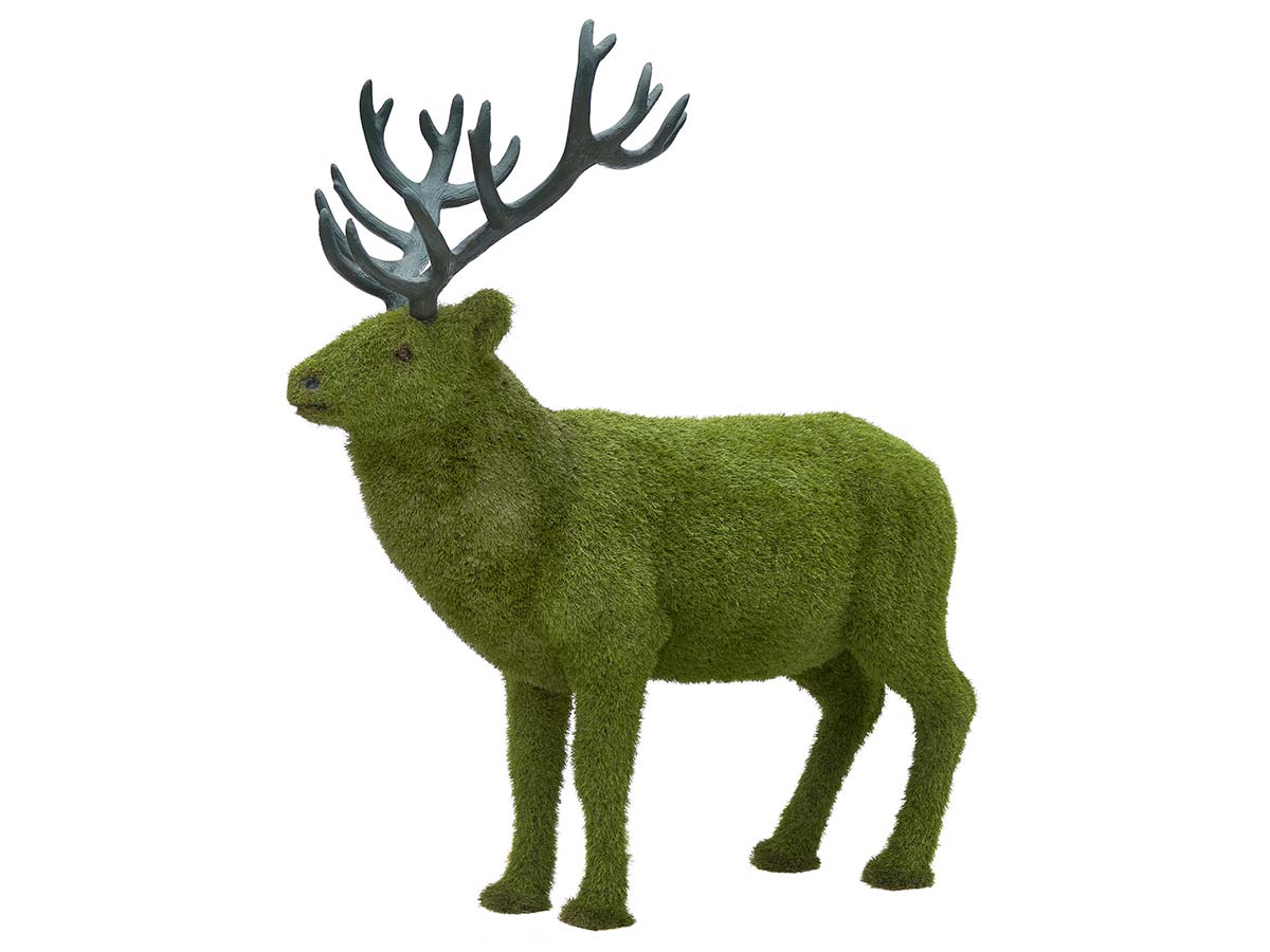 Veado