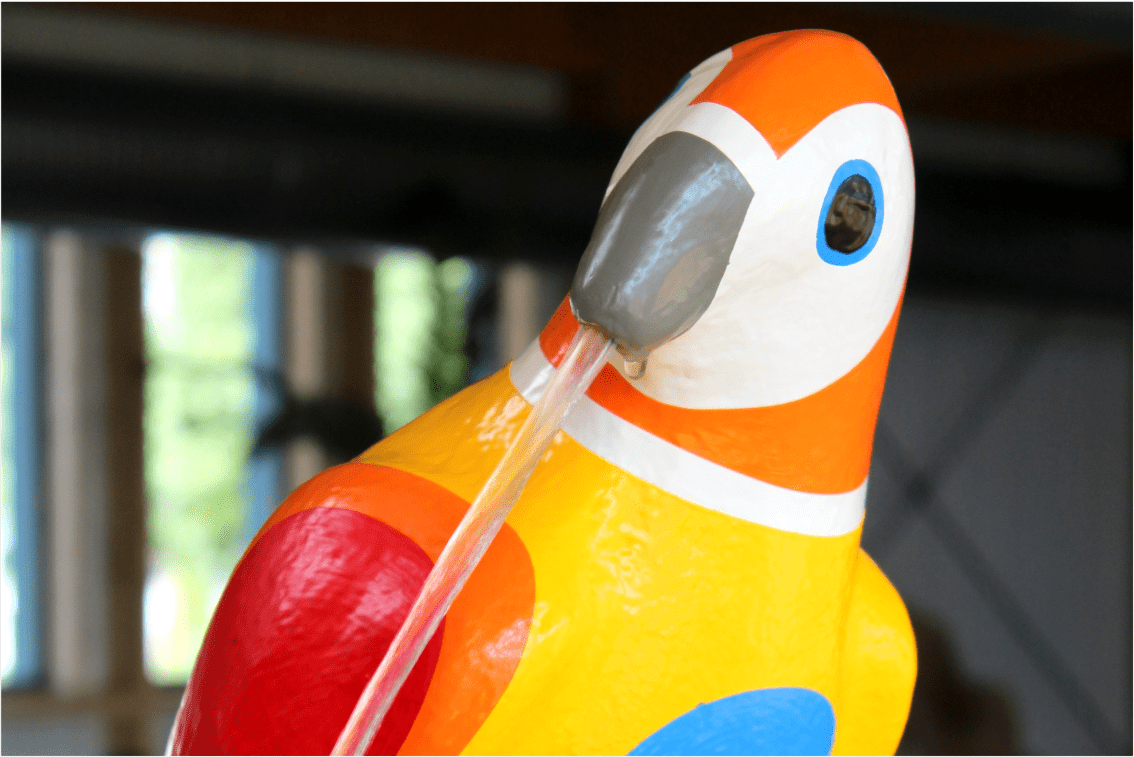 Papagaio Colorido - Image 2