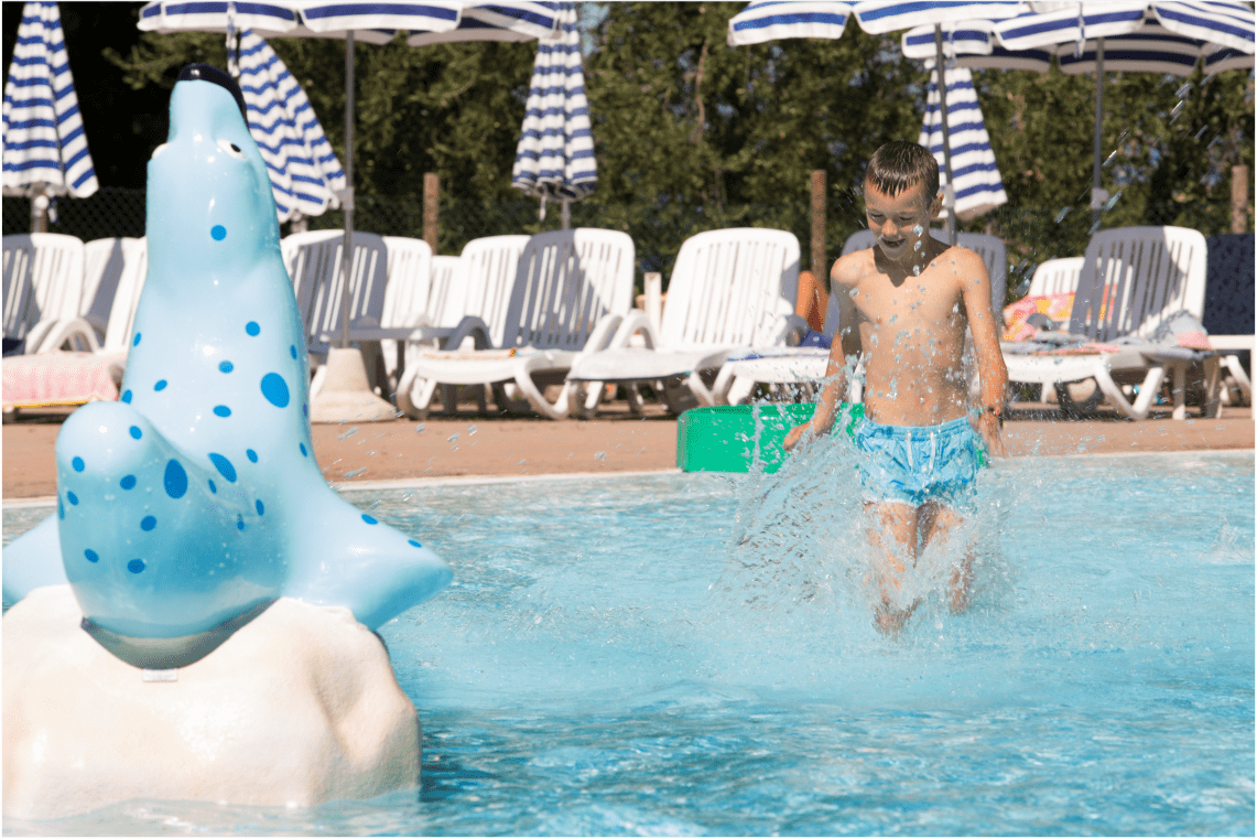 Foca na Rocha HP - Image 2