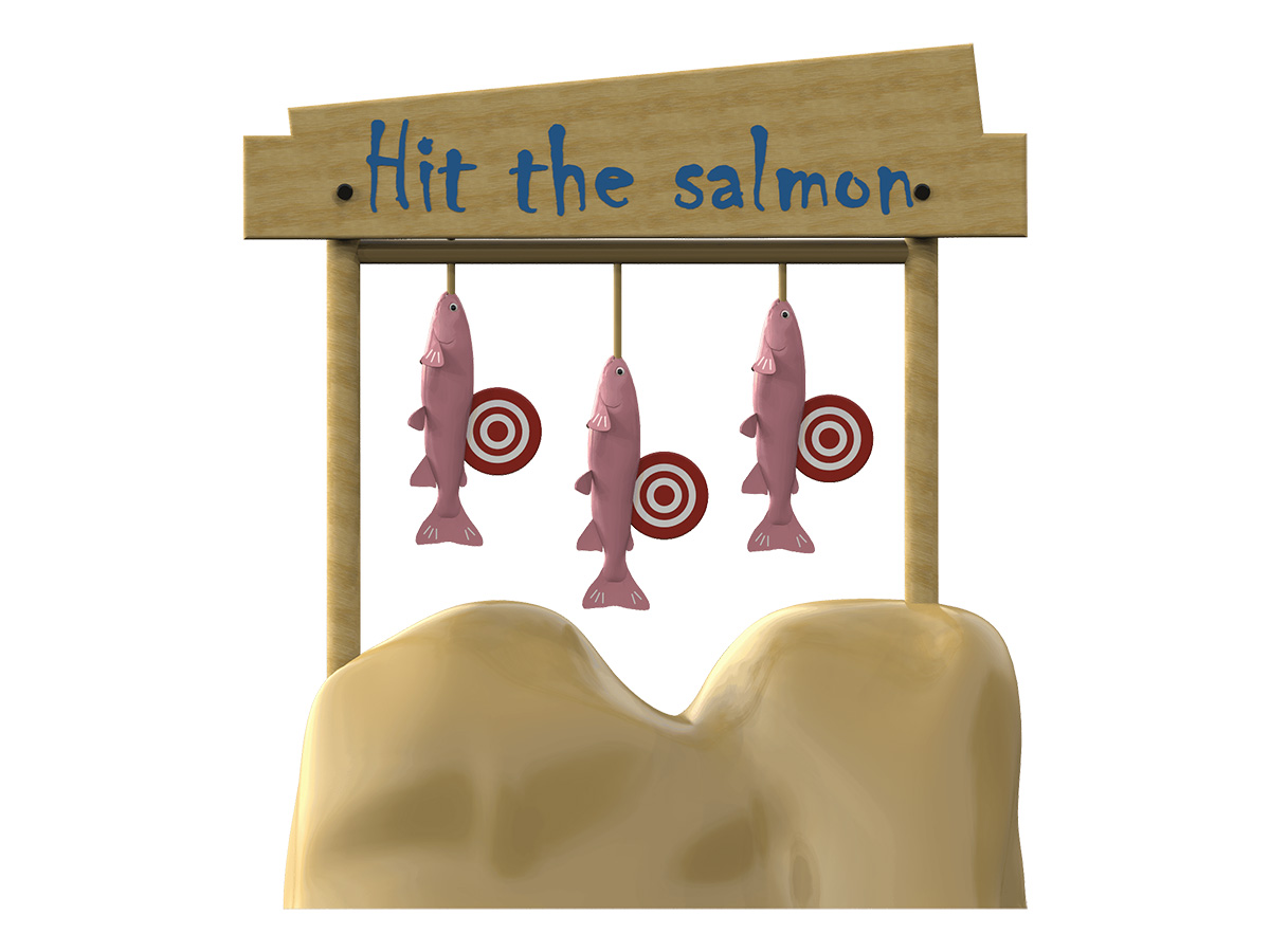 Alvo Cardume de Salmão - Image 2