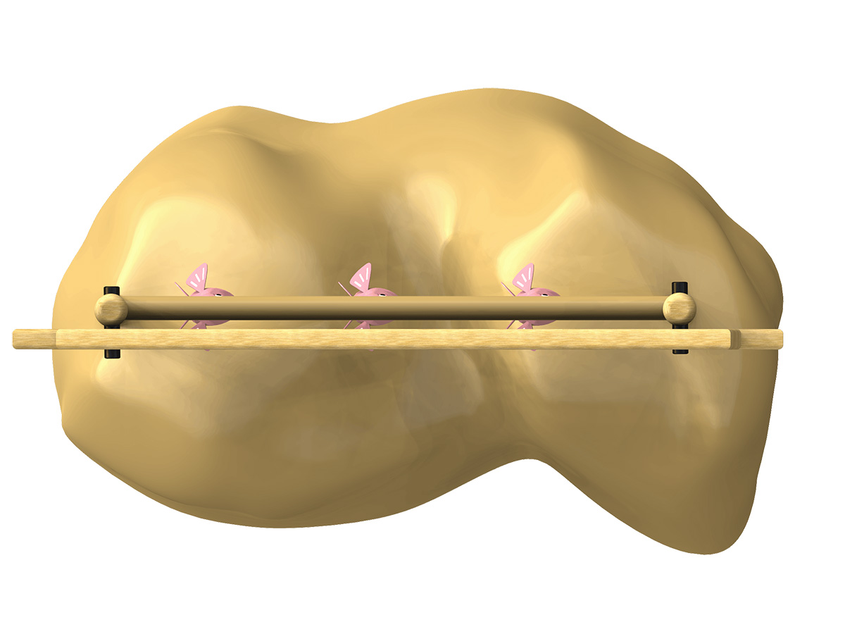 Alvo Cardume de Salmão - Image 4